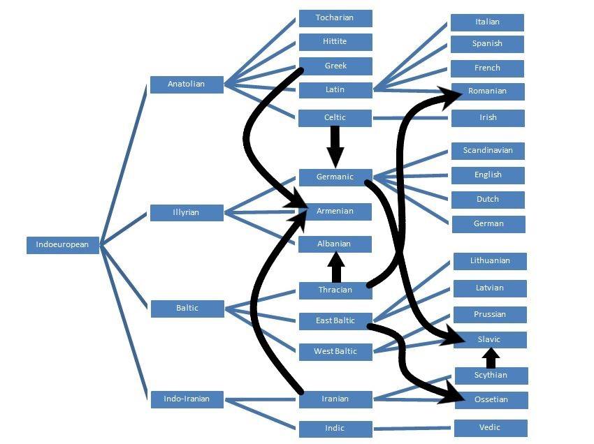 Indoeuropieciu kalbu kilmes schema.jpg