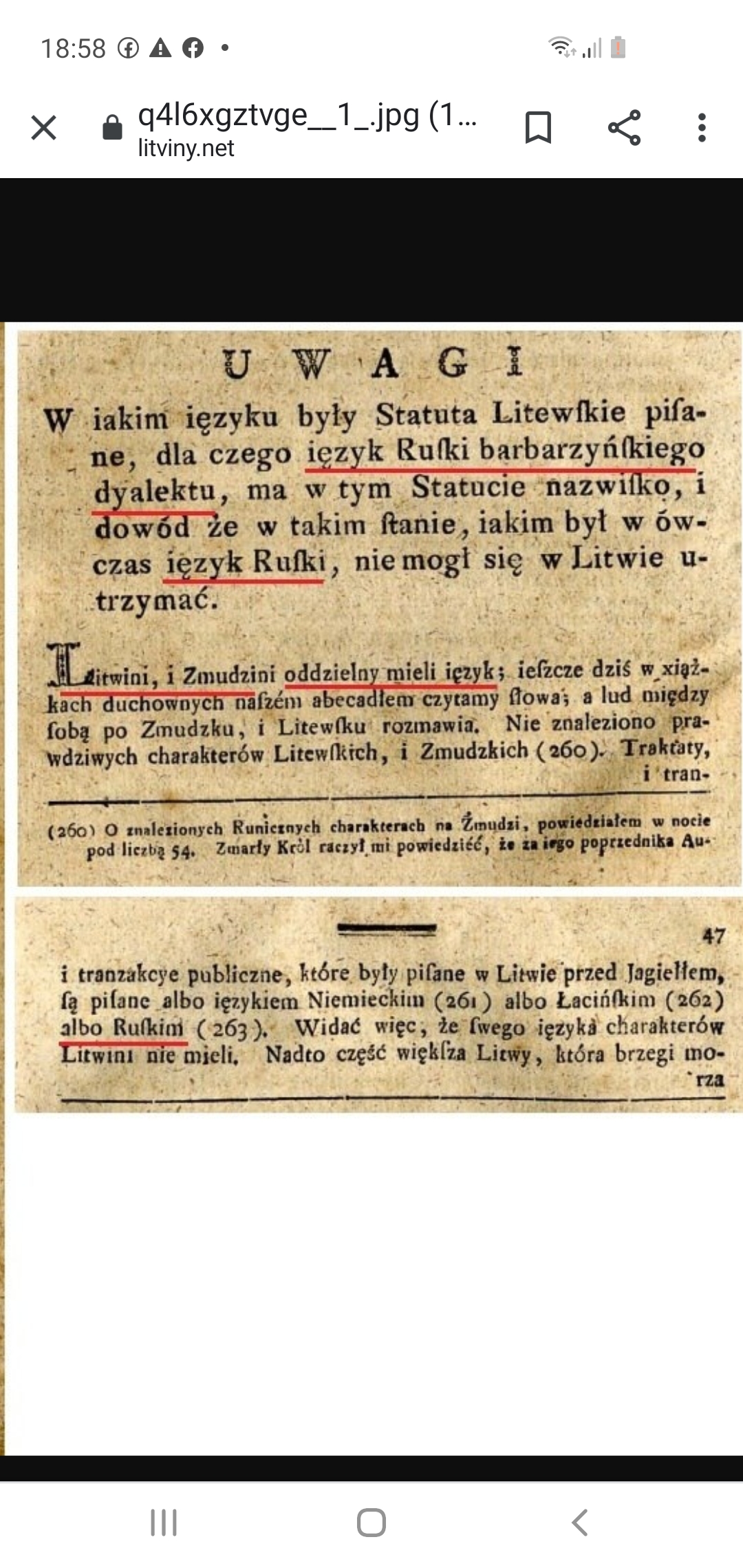 Paveikslėlis