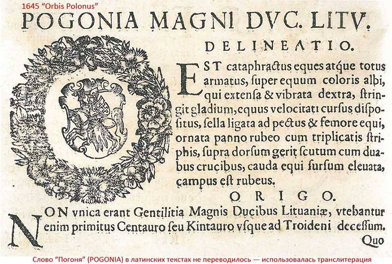 Pogonia, 1645.jpg