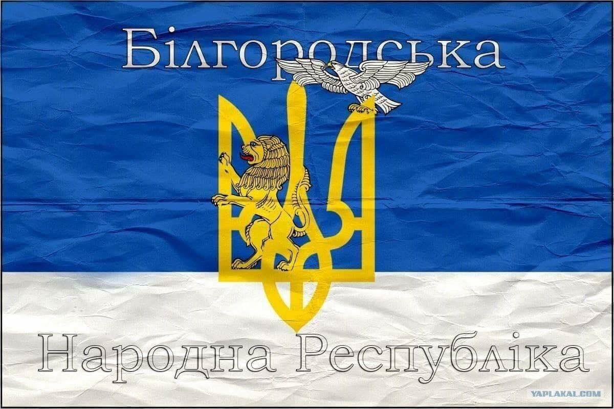 Paveikslėlis
