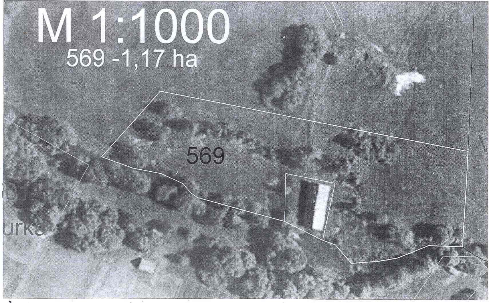 Paveikslėlis
