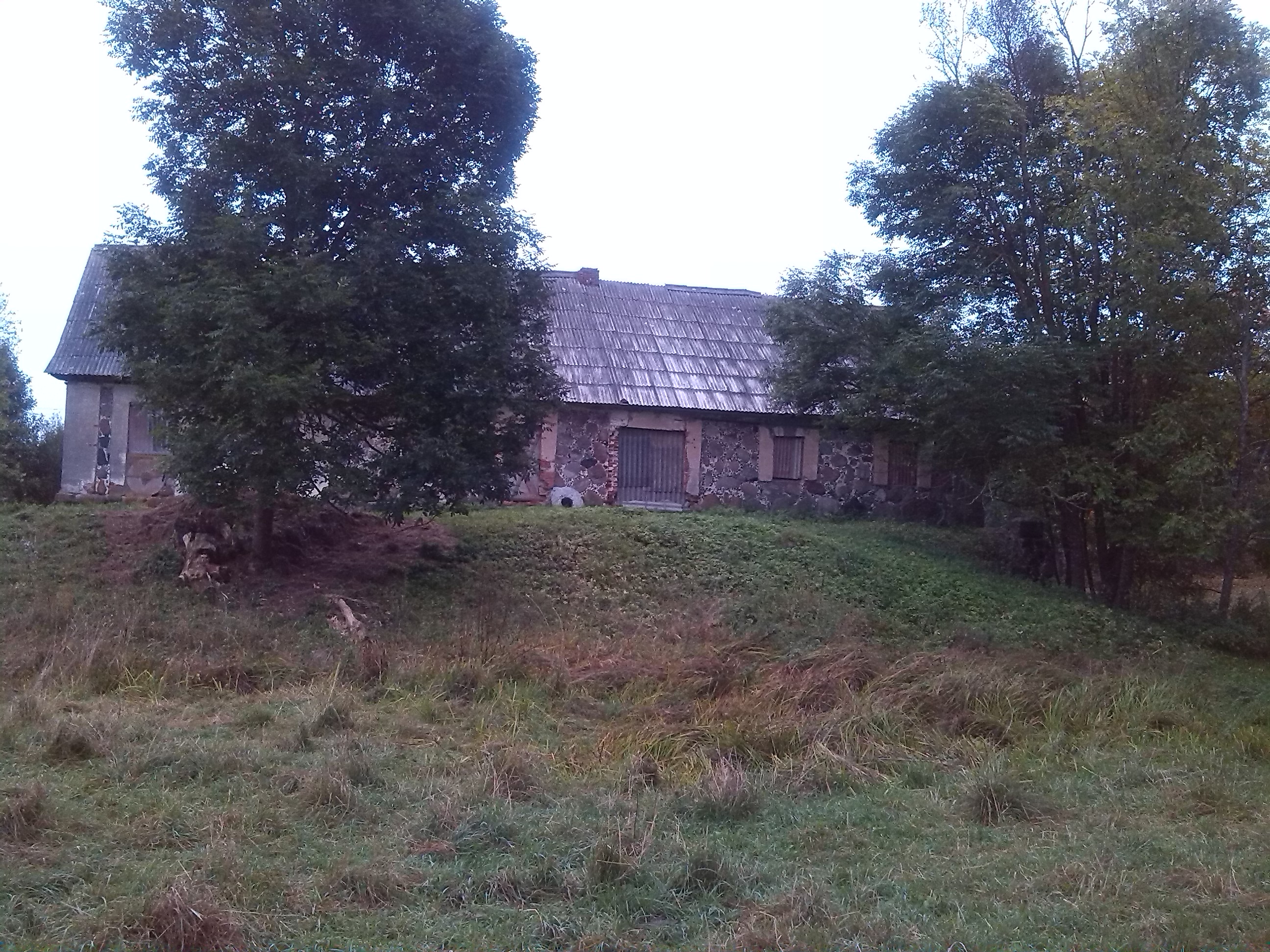 Paveikslėlis